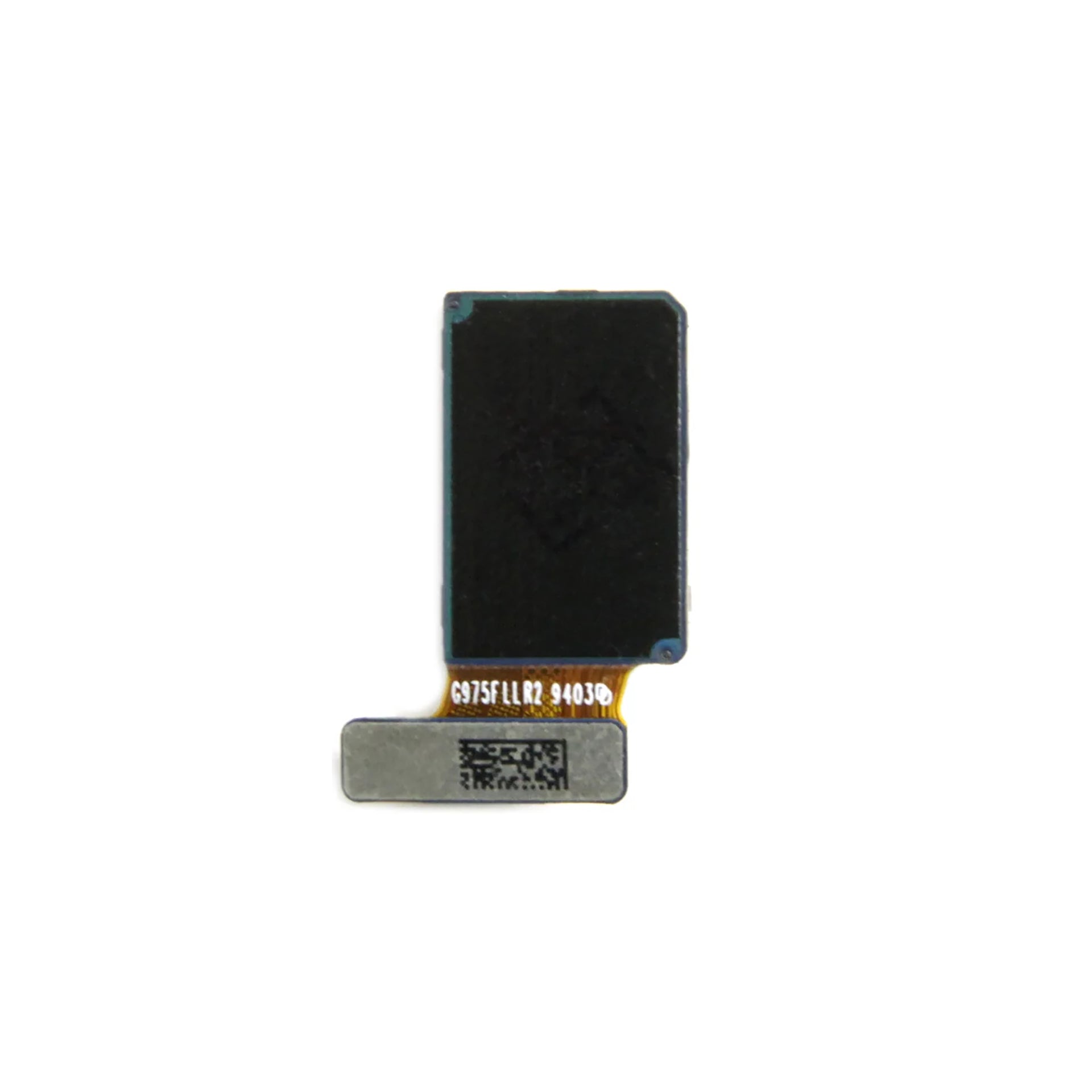 Samsung Galaxy S10 Plus G975F Front Camera Set OEM