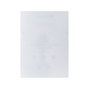 FORWARD 16 inch High Clear Flexible Explosion-proof Film (5pcs)