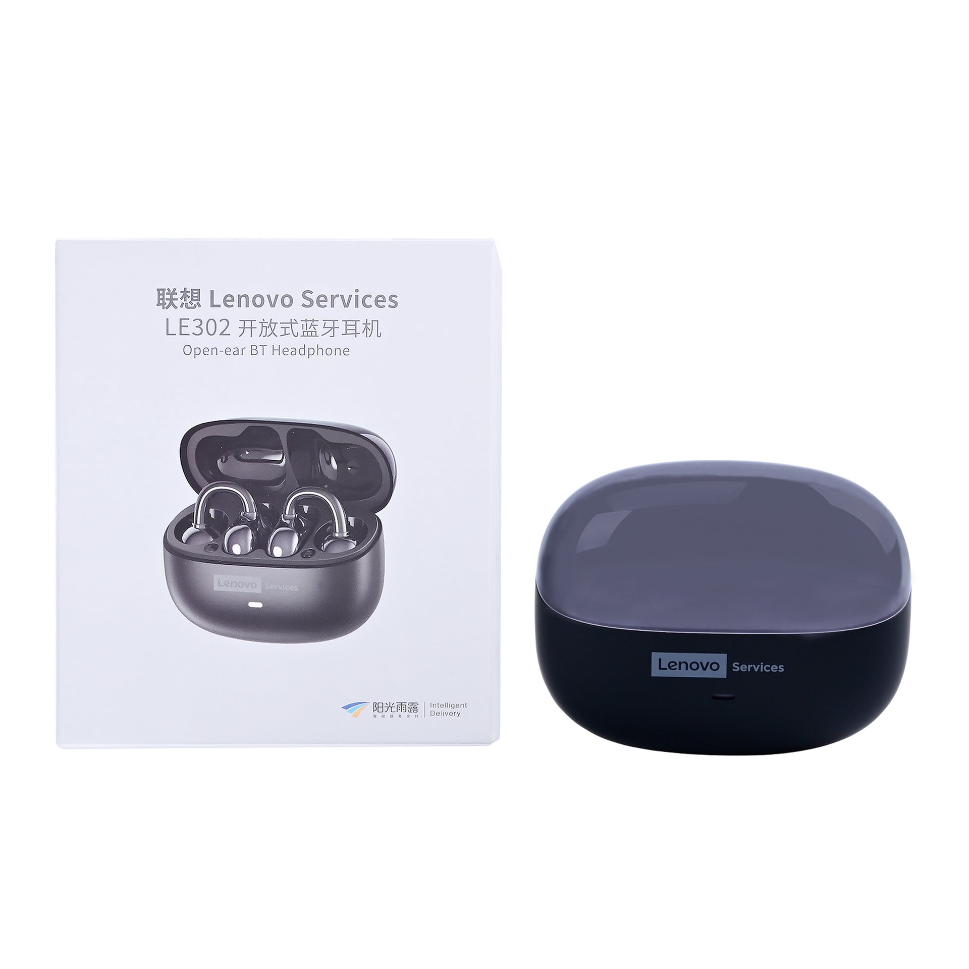 Lenovo LE302 Wireless Earbuds Black