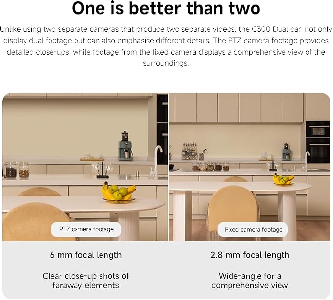 Xiaomi C300 Dual Smart Camera