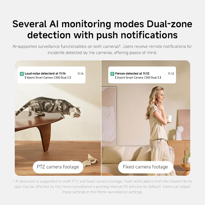Xiaomi C300 Dual Smart Camera