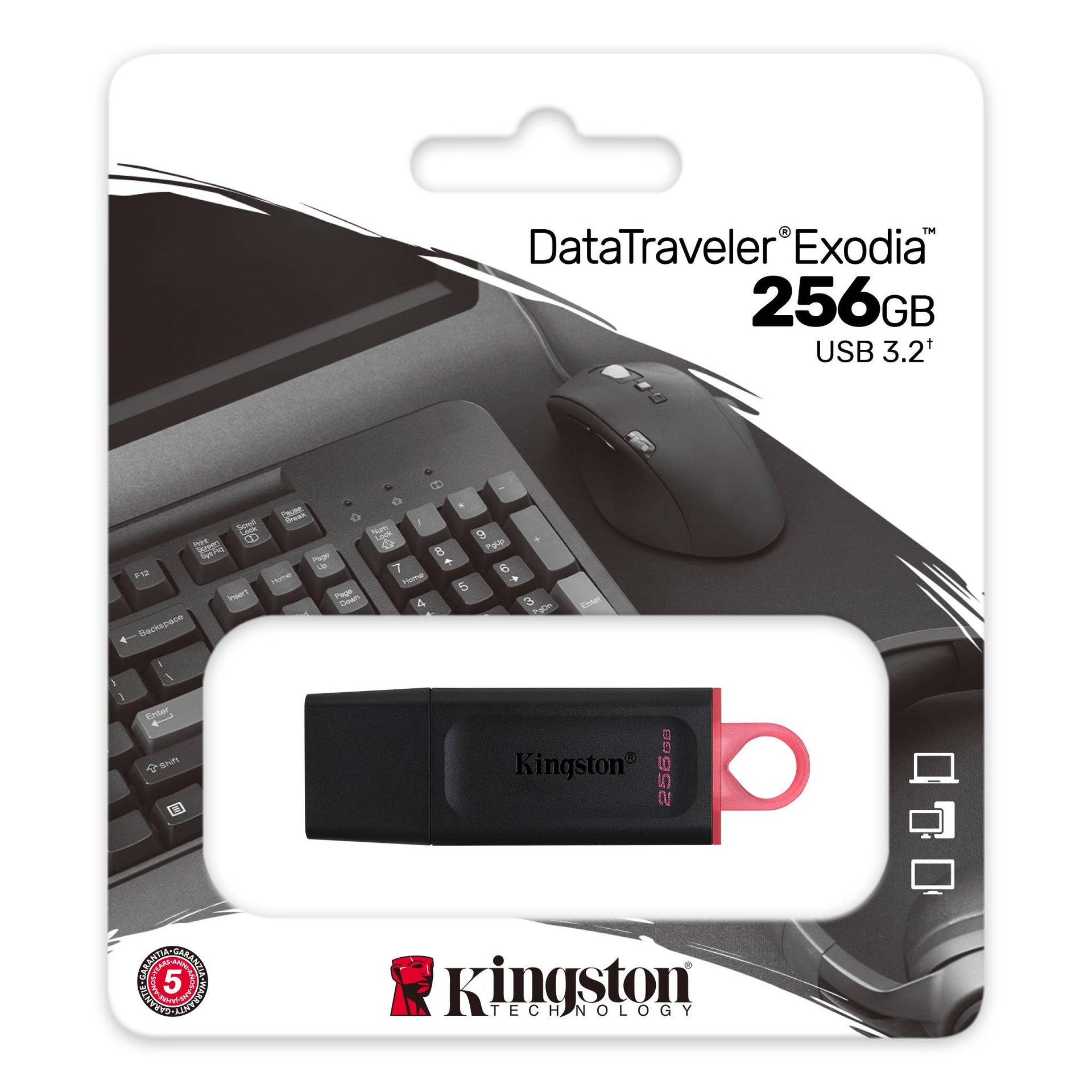 Kingston 256GB DataTraveler Exodia USB3.2 Gen 1 Flash Drive Black And Red