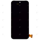 Google Pixel 9 Pro XL Display And Digitizer Without Frame Black Service Pack