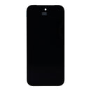 Google Pixel 9a Display And Digitizer Without Frame Black Service Pack