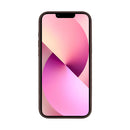 Rixus Mag Carbon With MagSafe For iPhone 12 Pro Max Brown